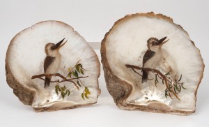 A pair of antique Australian folk art hand-painted pearl shells with kookaburra, wattle and gum tree decoration, signed on the backs "F.W." late 19th century, ​​​​​​​15 x 15cm each approx.