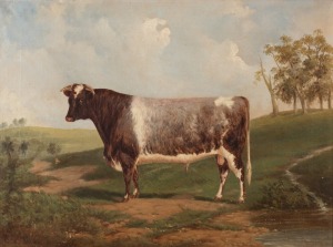 FREDERICK WOODHOUSE, (portrait of a bull), oil on canvas, signed lower right "Fred Woodhouse, 1876", 45 x 60cm, 62 x 77cm overall