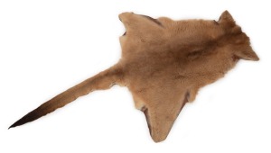 A wallaby skin rug, 20th century, 150 x 85cm overall.