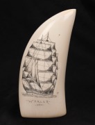 A scrimshaw whales's tooth with tallship portrait titled "WHALER, 1850", signed lower right (illegible), ​​​​​​​13.5cm high