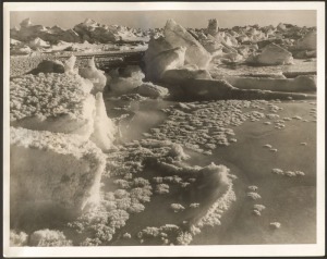 THE B.A.N.Z. ANTARCTIC EXPEDITION: Official original photograph by Captain Frank Hurley: Image A67 - Title: A Crystal Garden in Antarctica, with official "MAWSON ANTARCTIC EXPEDITION" handstamp&nbsp;and release date "TUESDAY MAY 13, 1930" verso, together with 