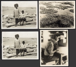 GREAT BARRIER REEF EXPEDITION: Four 21.5 x 16.5cm press photographs from the 1928-1929 British-led scientific expedition, featuring images of lagoon coral formations, Indigenous children, and lab activity. (4 items)