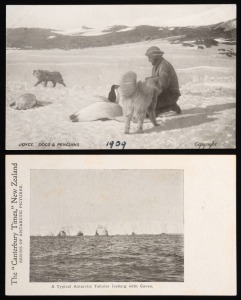 The British National Antarctic Expedition 1901-04: "A Typical Antarctic Tabular Iceberg with Caves." Canterbury Times real photo postcard; and, 1907-09 British Antarctic Expedition: "Joyce, Dogs & Penguins" official real photo postcard. (2 items).