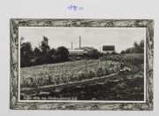 Postcards: QUEENSLAND: A collection of semi-official cards, all different, each issued the Intelligence and Tourist Bureau or for various Expositions. Featuring views of agricultural practices, public buildings and infrastructure, street scenes and planta - 3