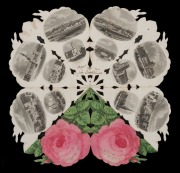 VICTORIA - Postal History: THE MELBOURNE ROSE. Printed by C. Adler, Hamburg, [circa 1860]. Diecut card souvenir in the shape of a pink rose with green leaves, folding out to display 28 steel-engraved views (front and back), most after S.T. Gill; 13 x 7cms