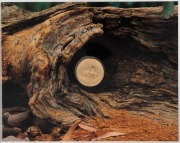 TWO HUNDRED DOLLARS, 1994 $200 gold Tasmanian Devil, uncirculated; in original folder of issue. - 2