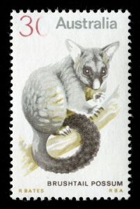 1974 (SG.563a) 30c Brushtail Possum, variety "30c" red partially omitted, MUH single with BPA Certificate [1992]. See BW: 661cb - a horizontal strip with one unit showing the red completely omitted with a partially omitted example next to it.
