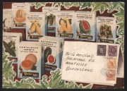 1955 (Dec.28) double-rate envelope with all-over multi-coloured advertising for Lawrence Robinson & Sons (Seed Merchants) from Neutral Bay NSW to Montville Queensland; the adhesives (total 6d) for 3&frac12;d 1st ounce + 2&frac12;d 2nd ounce. An extraordinary item.