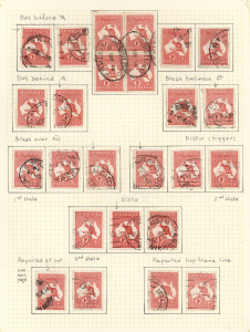 Kangaroos - First Watermark: 1d RED: A specialized range on well annotated pages, including multiples; illustrating Dies, varieties, etc. (250+).