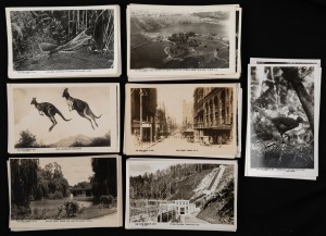 ROSE SERIES - AUSTRALIA (excl. VICTORIA) AND WILDLIFE: A collection of real photographic postcards. (Total: 43; 41 unused; 2 used)
