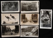 ROSE SERIES - AUSTRALIA (excl. VICTORIA) AND WILDLIFE: A collection of real photographic postcards. (Total: 43; 41 unused; 2 used)