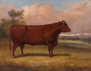 SAMUEL S. KNIGHTS. Earl of Waterloo, oil on canvas, signed lower left "S. S. Knights, 1873", 40 x 50cm, 51 x 61cm overall