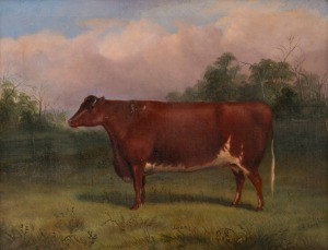SAMUEL S. KNIGHTS. Joan, oil on canvas, signed lower right "S. S. Knights", 40 x 50cm, 51 x 61cm overall