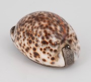 An antique Scottish sterling silver mounted cowrie shell snuff box, engraved "JOHN ROB, DUMBLAINE, 1760, E.L.", 9cm wide. - 2