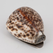 An antique Scottish sterling silver mounted cowrie shell snuff box, engraved "JOHN ROB, DUMBLAINE, 1760, E.L.", 9cm wide. - 3