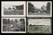 Postcards: QUEENSLAND: A collection of semi-official cards, all different, each issued the Intelligence and Tourist Bureau or for various Expositions. Featuring views of agricultural practices, public buildings and infrastructure, street scenes and planta - 17