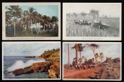 Postcards: QUEENSLAND: A collection of semi-official cards, all different, each issued the Intelligence and Tourist Bureau or for various Expositions. Featuring views of agricultural practices, public buildings and infrastructure, street scenes and planta - 19