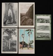 Postcards: QUEENSLAND: A collection of semi-official cards, all different, each issued the Intelligence and Tourist Bureau or for various Expositions. Featuring views of agricultural practices, public buildings and infrastructure, street scenes and planta - 23