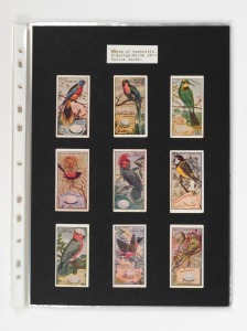 Wills Cigarette Cards, "Bird of Australia" (1912), complete set (100) laid down on album pages, the faces in superb condition.