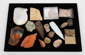 Mineral specimens, pearl shell, fossils, arrow heads, opals, (qty)