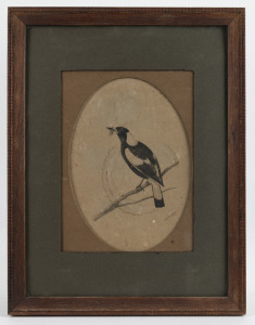 NEVILLE CAYLEY SENIOR (1853-1903), (magpie), watercolour in oval mount, signed lower right "Neville Cayley", 26 x 18cm, 45 x 35cm overall