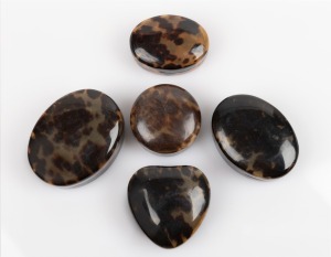 Five assorted antique tortoise shell snuff boxes, 19th century, the largest 7.5cm wide.