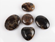 Five assorted antique tortoise shell snuff boxes, 19th century, ​​​​​​​the largest 7.5cm wide.