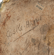 CASTLE HARRIS rare pottery tree stump vase with applied bearded dragon lizard, incised "Castle Harris", 19cm high, 28cm wide - 7