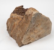 WILLIAM RICKETTS pottery bust of an Aboriginal boy, mounted on granite stone, 35cm high, 35cm wide, 27cm deep - 5