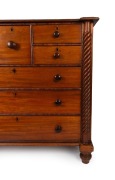 A rare and unusual antique Australian cedar chest of eight drawers with carved half barley twist columns, inverted breakfront with cross grained cushion moulded drawer blades and blackwood diamond escutcheons, Tasmanian origin, circa 1835, most likely the - 3