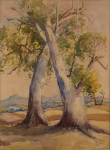GEORGE COLVILLE (1887-1970), (gumtrees in landscape), watercolour, signed lower right "Geo. Colville", 39 x 30cm, 64 x 51cm overall