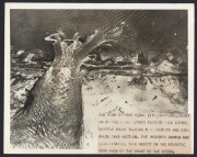 TRAGIC EVENTS: Six 1930s press agency photographs featuring reporting on poverty in Calcutta, vehicle crashes, flooding, and others. (6 items, the largest 23 x 18cm) - 2