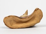 WILLIAM RICKETTS pottery kookaburra perched on a branch, incised "Wm. Ricketts Pottery Sanctuary Mt Dandenong 1936", 7cm high, 9.5cm wide - 6
