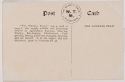 c1910 The Weekly Times 'Victorian Footballers Postcard' featuring T. ARMSTRONG (Geelong). - 3