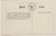 c1910 The Weekly Times 'Victorian Footballers Postcard' featuring A. PALMER (Geelong). - 3
