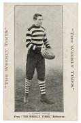 c1910 The Weekly Times 'Victorian Footballers Postcard' featuring A. PALMER (Geelong). - 4