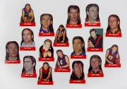 THE SCANLENS DIE-CUT CARDS OF 1969: An almost complete set [17/18] lacking only Bill Goggin; very good condition.