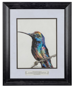 K. LEWIS, Hummingbird, watercolour, signed lower centre, with endorsement label affixed, 24 x 20cm, 41 33cm overall.