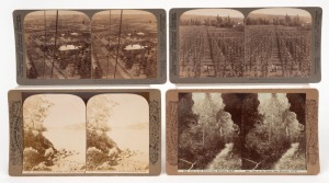 A group of four stereoview cards; two by George Rose ("The Parramatta River" and "View on the Federal Pass, Katoomba") and two by Underwood ("A great fruit orchard at Doncaster, Victoria" and "Hop-growing at New Norfolk, Tasmania"). (4).