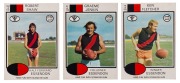 1975 SCANLENS "VFL Footballers", almost complete set, [124/132]. lacking #5, 12, 33, 53, 61, 81, 82 and 108; mainly VG/EF condition. (124).
