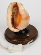 An Italian carved cameo shell converted to a lamp, 19th/20th century, ​​​​​​​18cm high overall. - 2
