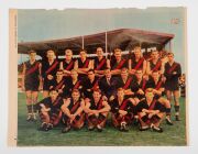 1961 Woman's Day magazine, full page colour "League Team Photos", part set of 8 comprising of Carlton, Essendon, Fitzroy, Footscray, Geelong, Hawthorn, Melbourne, and St. Kilda. - 4