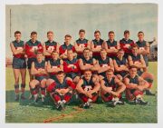 1961 Woman's Day magazine, full page colour "League Team Photos", part set of 8 comprising of Carlton, Essendon, Fitzroy, Footscray, Geelong, Hawthorn, Melbourne, and St. Kilda. - 7