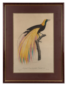 A framed ornithological French coloured lithograph of a bird of paradise; together with a facsimile maritime print, (2 items), ​​​​​​​ ​​​​​​​the bird 77 x 59cm overall.
