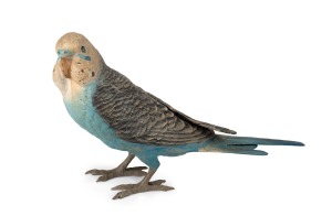 An Austrian cold painted bronze budgerigar, 9cm high, 17cm long.