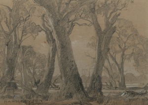 HANS HEYSEN (1877-1968), Gum trees, Ambleside, pencil and charcoal on paper with conte highlights, signed lower left "HANS HEYSEN", ​​​​​​​17 x 24cm, 39 x 49cm overall.