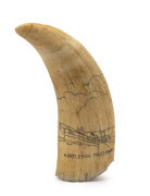 A scrimshaw whale's tooth titled "The Castle Eden" with ship portrait and "Hartlepool Pilot Boat" on reverse, 13cm high. - 2