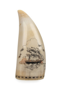 JAMES CUMBERLAND BROWN (Albany, Western Australia) scrimshaw whale's tooth with tallship portrait and coloured decoration, signed "J.F.C. RMS", 11cm high