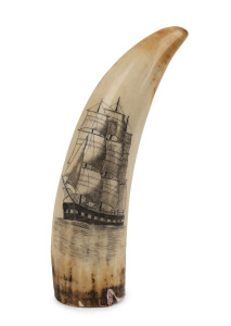 A scrimshaw whale's tooth with tallship portrait, 12cm high
