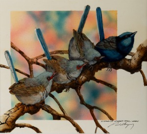 PAUL MARGOCSY (1945 - ), Australian Splendid Fairy Wrens, Gouache, signed lower right "Paul Margoscy", ​​​​​​​20 x 22cm, 41 x 42cm overall